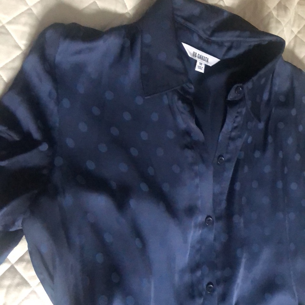 BB Dakota navy blue polka dot silk dress